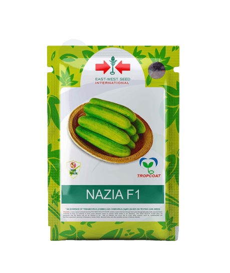 nazia/नाज़िआ cucumber (east west seeds)