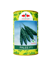 palee/पाली bittergourd (east west seeds)