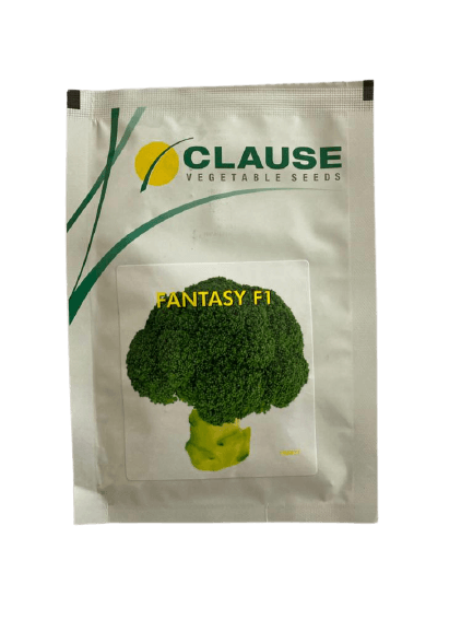 fantasy f1 hybrid broccoli (clause seeds)