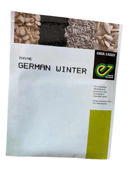 german winter f1 hybrid thyme (enza zaden)
