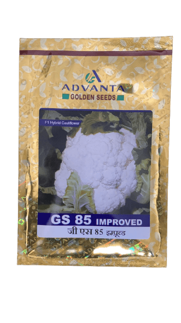 gs 85 improved f1 hybrid cauliflower (advanta ) 10g
