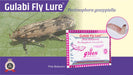 gulabi fly lure and pheromon trap-pectinophora gossypiella(green revolution) 10 nos lure