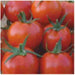 ganesh/गणेश tomato (seminis)