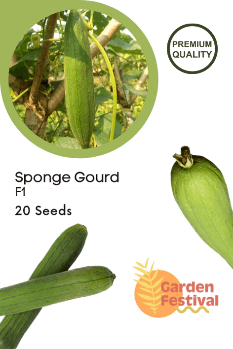 sponge gourd best quality improved seeds