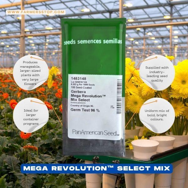 mega revolution™ select mix gerbera (panamerican seeds)