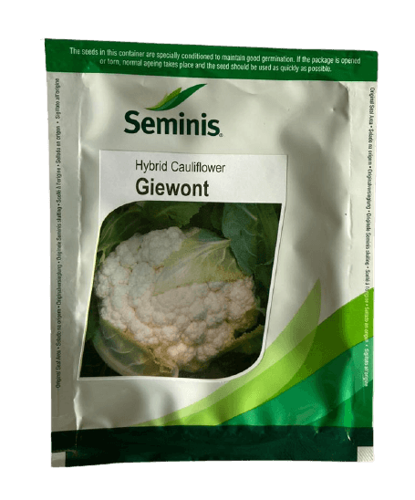 giewont/जीवोंट f1 hybrid cauliflower (seminis)