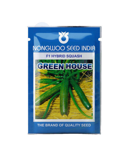 green house f1 hybrid green squash (nongwoo seed india)