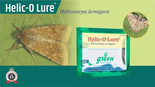 helic-o-lure and pheromon trap-helicoverpa armigera(green revolution) 10 nos lure