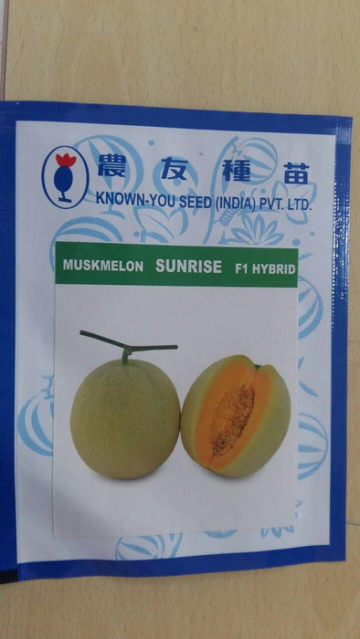 sun rise/सन राइज f1 hybrid muskmelon (known you seeds)