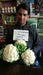 snow mountain/स्नो माउंटेन  f1 cauliflower (takii seeds)