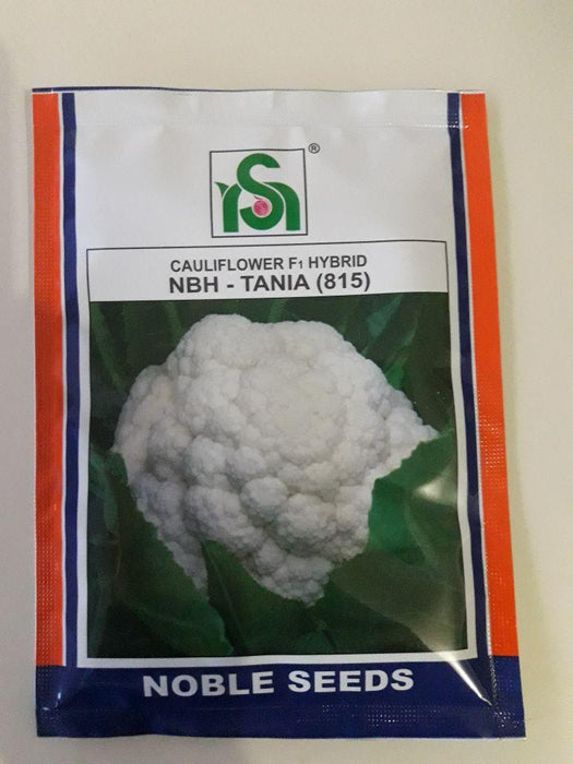 nbh tania 815 f1 cauliflower (noble)