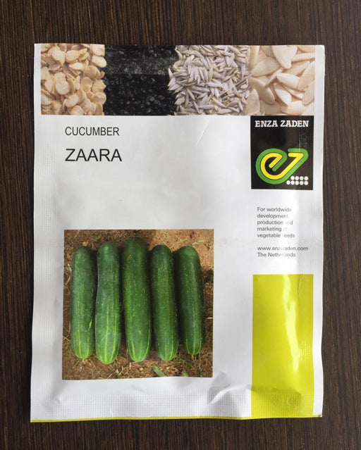 zaara f1 cucumber seeds (enza zaden)