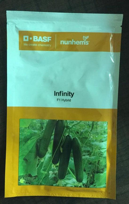 infinity f1 hybrid cucumber for polyhouse farming (nunhems)