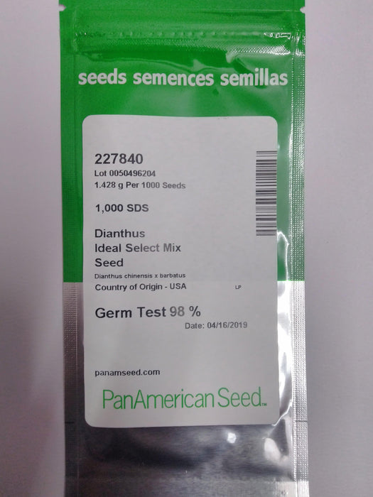 dianthus ideal select mix seed (panamerican)