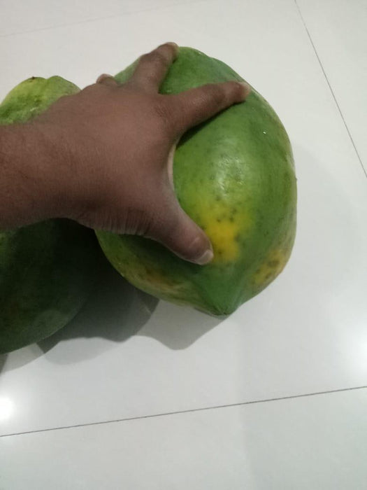 sun berry/सन बेरी f1 hybrid papaya  (aus ecowell)