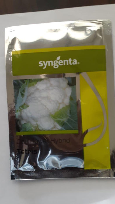 tetris f1 hybrid cauliflower (syngenta)