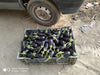 bartok f1 hybrid seedless eggplant (enza zaden)