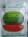 ns 295 watermelon (namdhari)