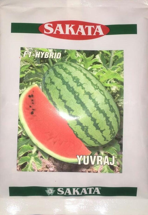 yuvraj hybrid f1 watermelon (sakata seeds)
