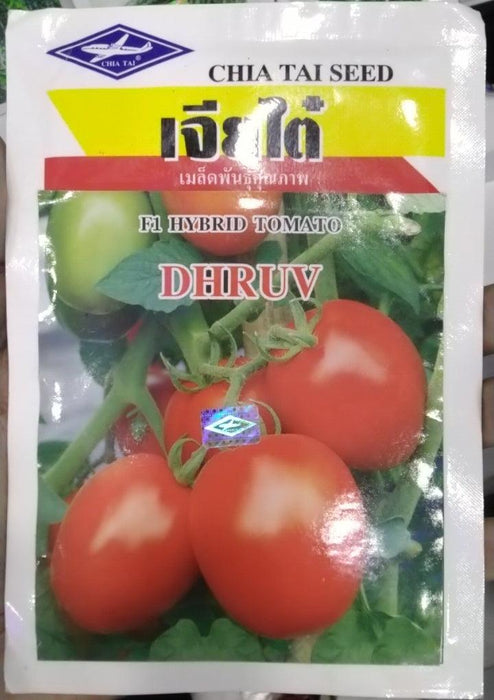 dhruv/ध्रुव hybrid f1 tomato (chia tai seeds)