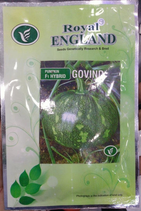 govind/गोविन्द f1 hybrid pumpkin (royal england)