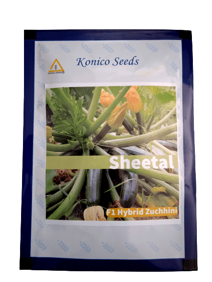 sheetal f1 hybrid green squash (konico seed india)