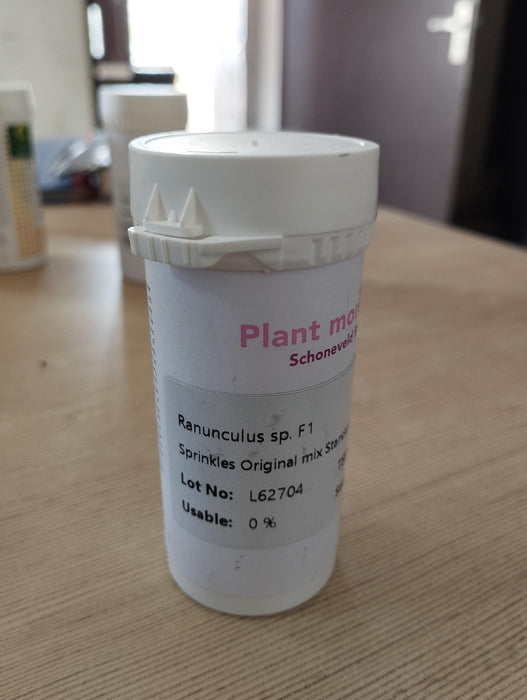 ranunculus sprinkles f1 pelleted (schoneveld breeding)