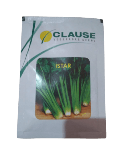 istar celery (clause seeds)