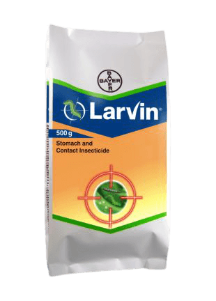 larvin® thiodicarb 75% wp (bayer, india)
