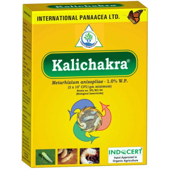 kalichakra – metarhizium anisopliae (wettable powder) bioinsecticide (ipl)