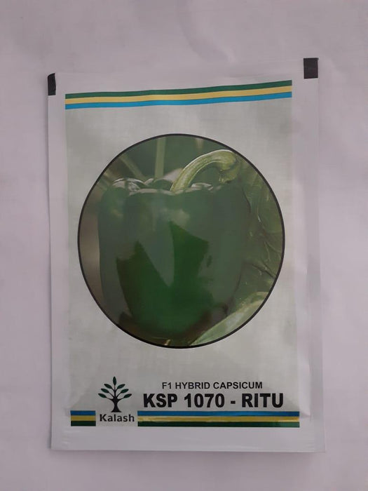 ksp-1070 ritu f1 hybrid capsicum (kalash seeds)