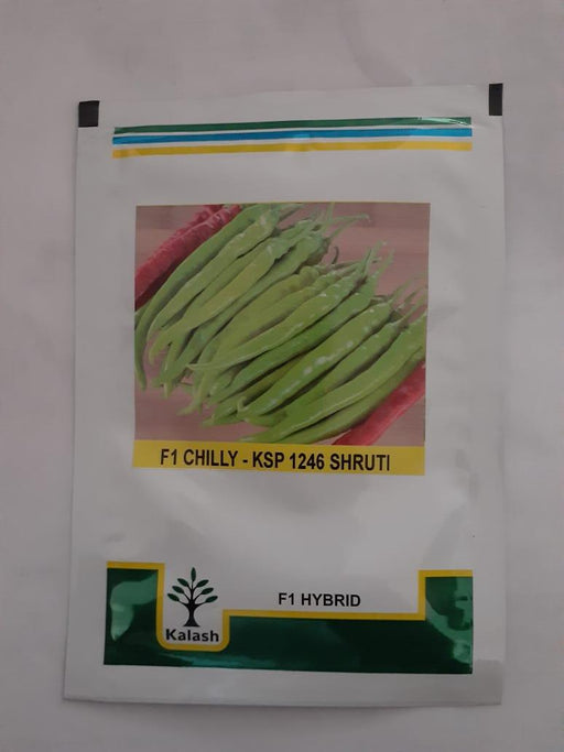 ksp-1246 shruti f1hybrid chilli (kalash seeds)
