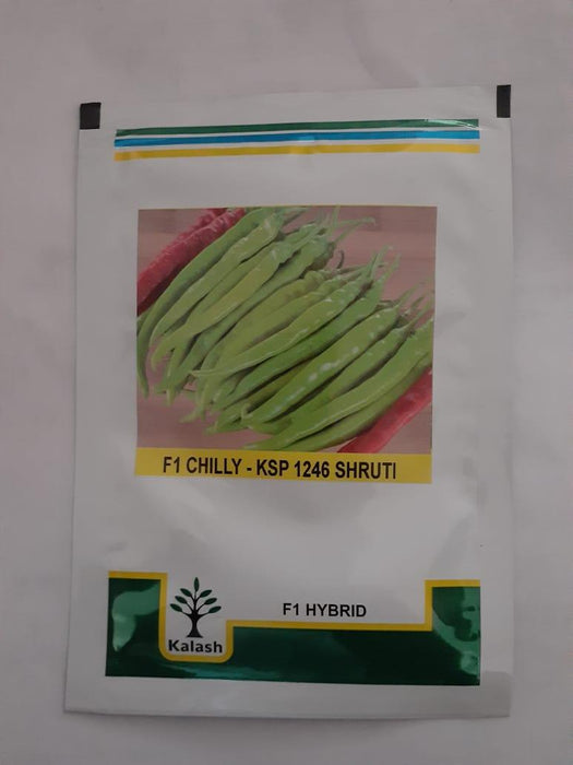 ksp-1246 shruti f1hybrid chilli (kalash seeds)