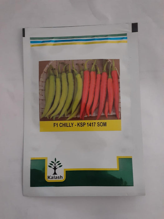 ksp-1417 som f1hybrid chilli (kalash seeds)