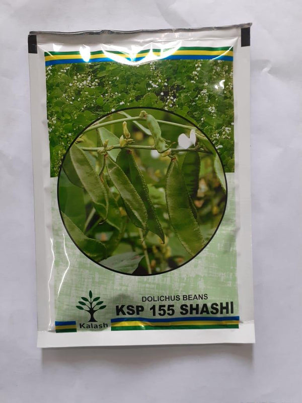 ksp-155 shashi dolchuis beans (kalash seeds)