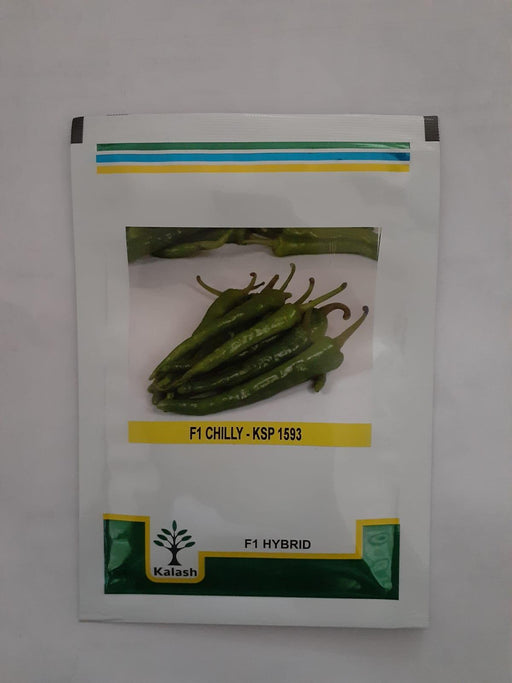 ksp-1593 f1hybrid chilli (kalash seeds)
