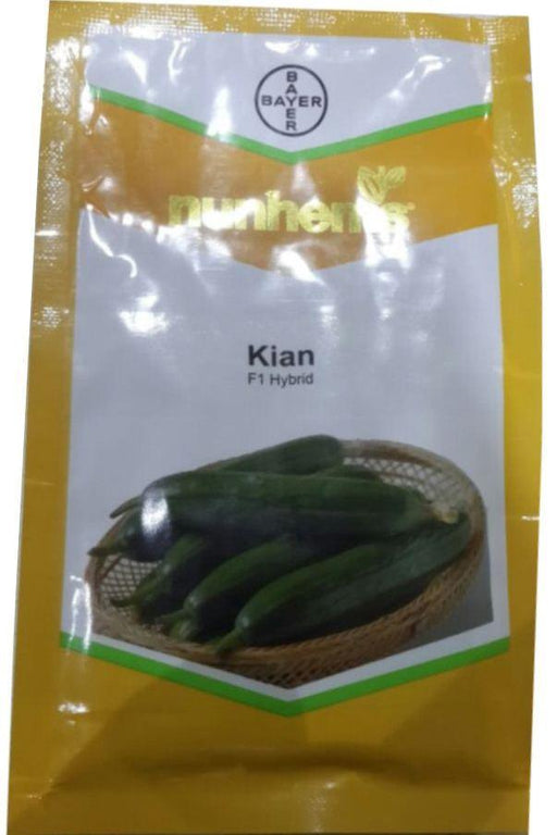 kian/किआन f1 parthenocarpic cucumber seeds (nunhems)