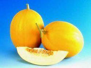 Kohinoor/कोहिनूर Muskmelon (Known You Seeds) - Farmers Stop