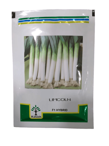 limcoln leek spring cut bunching onion (kalash seeds)
