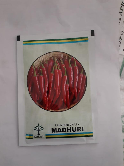 madhuri f1 hybrid chilli (kalash seeds)