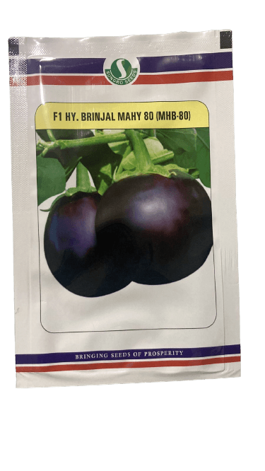mahy 80 f1 hybrid brinjal (sungro seeds)