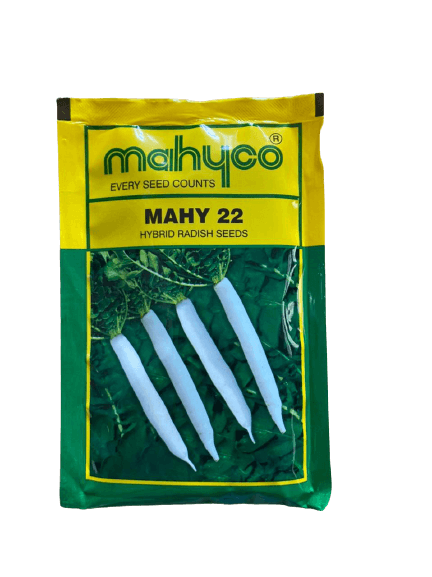 mahy 22 f1 hybrid radish (sungrow)