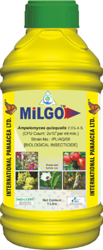 milgo – ampelomyces quisqualis (liquid) biofungicide (ipl)