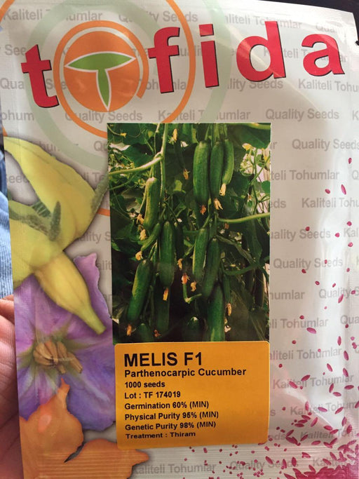 melis f1 parthenocarpic cucumber seeds (tofida seeds)