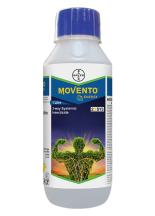 movento® energy spirotetramat 11.01% + imidacloprid 11.01% (bayer, india)