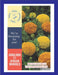 hobglobin f1 hybrid dwarf marigold (garden festival)