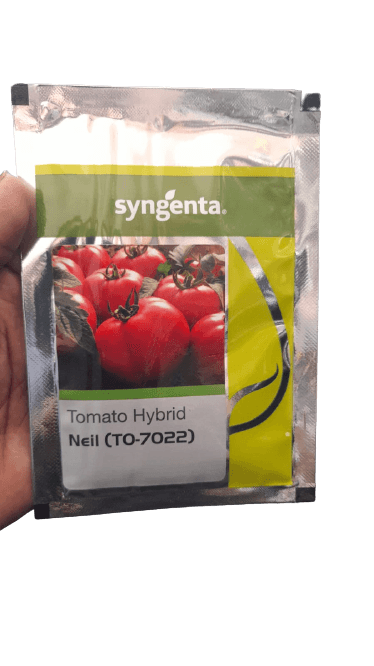 neil (to-7022) f1 hybrid tomato (syngenta)