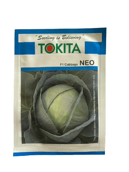 neo f1 hybrid cabbage (tokita seeds) 10g