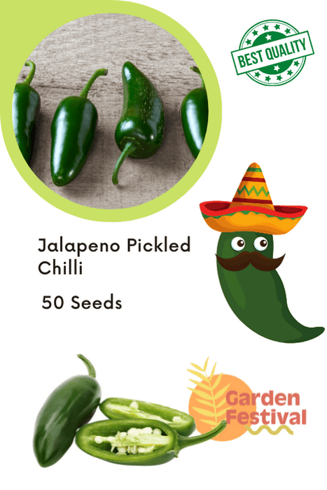 jalapeno f1 hybrid chilli seeds (garden festival)