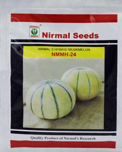 nirmal's hybrid muskmelon nmmh-24 (nirman seeds)